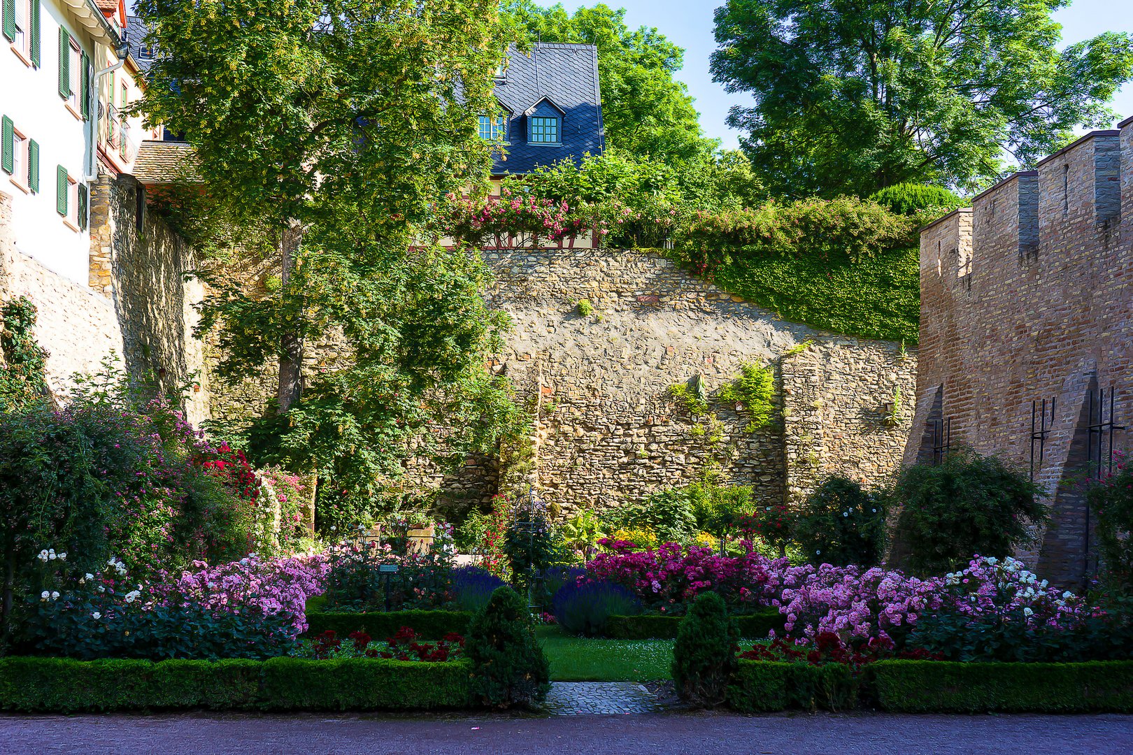 Eltville Eltville