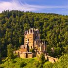 Eltz...