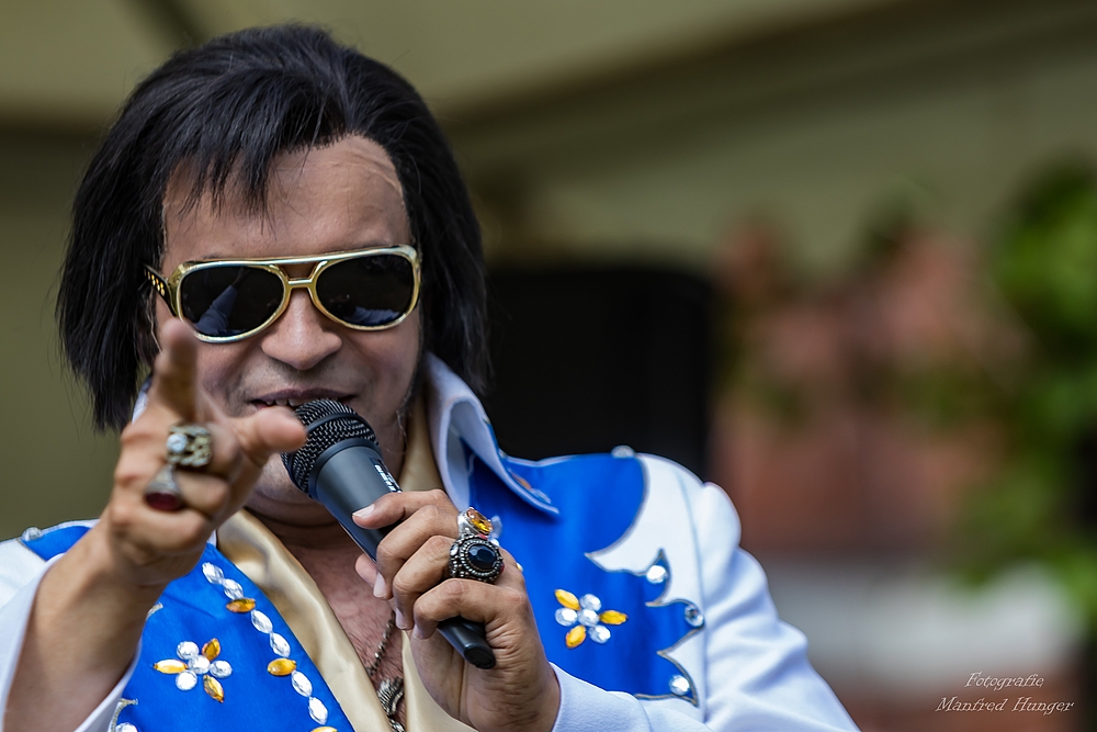 Elvis-Imitaor - SHELVIS (2)