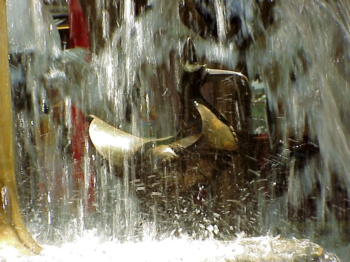 Elwedritsche beim baden