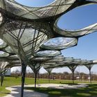 Elytra Filament Pavilion II