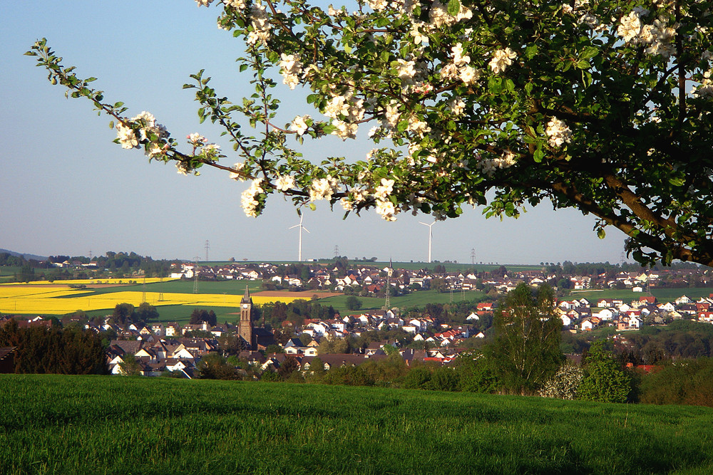 Elz im Frühling