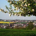 Elz im Frühling