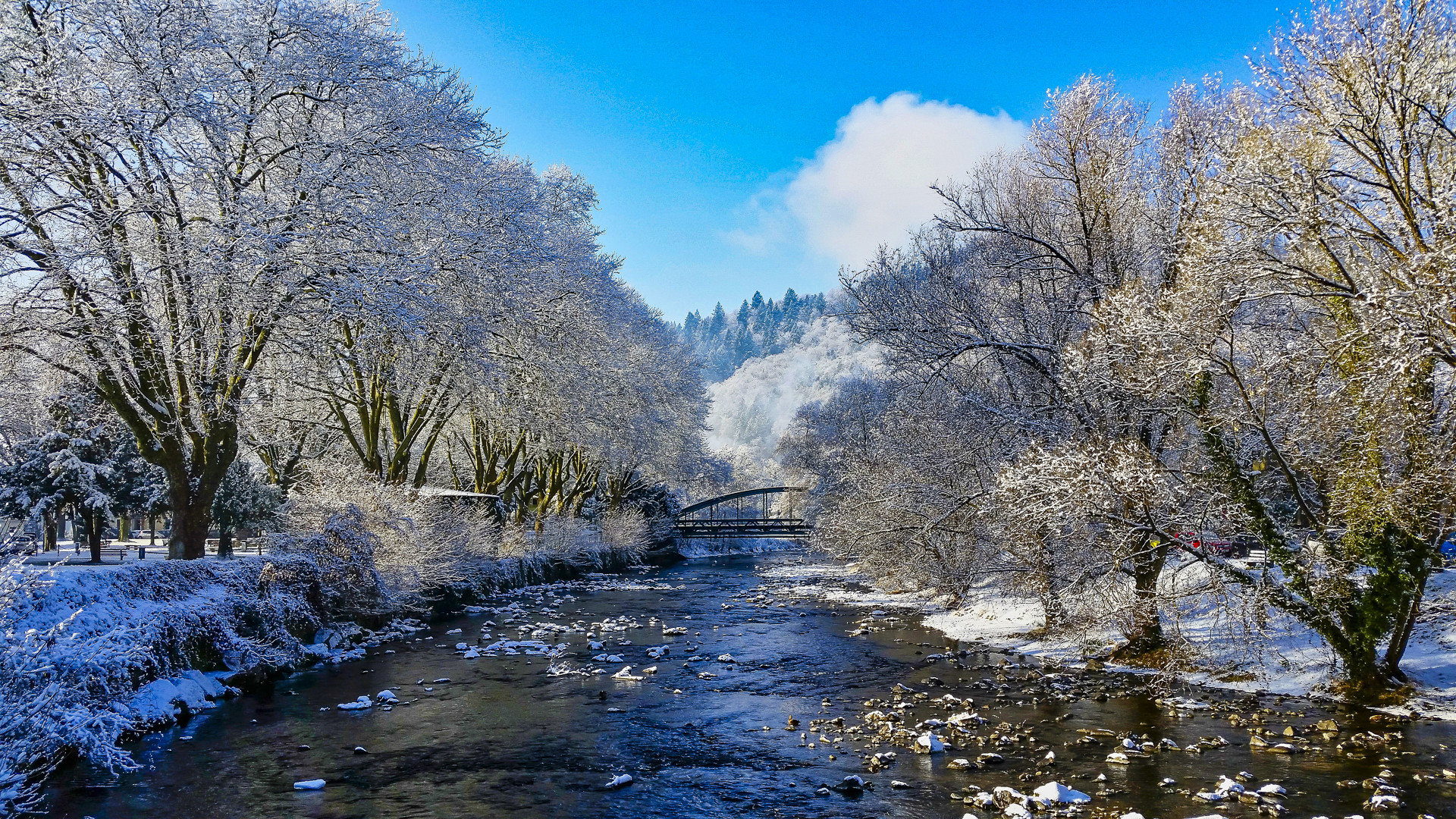 Elz in Waldkirch