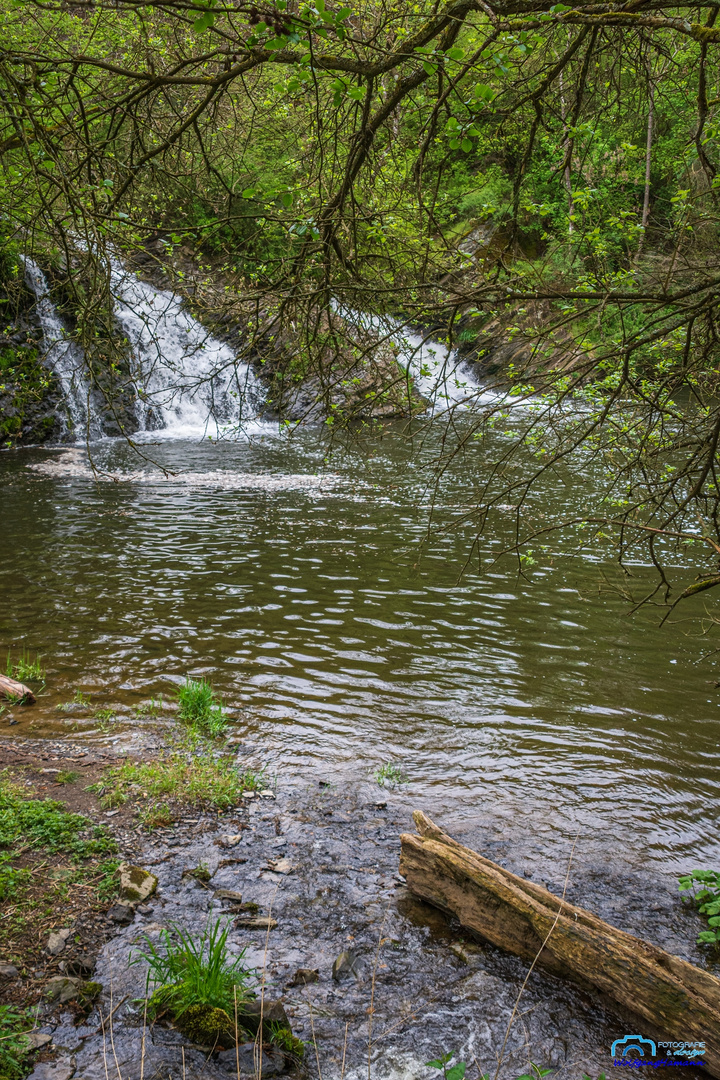 Elzbachwasserfall