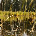 Elzer See im Herbst