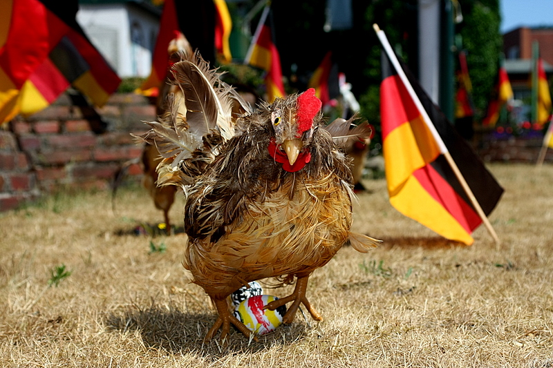 EM 2008 - Die Eier sind mir