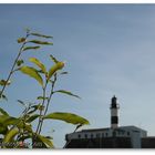 Em férias, visita ao Farol da Barra em Salvador-BA