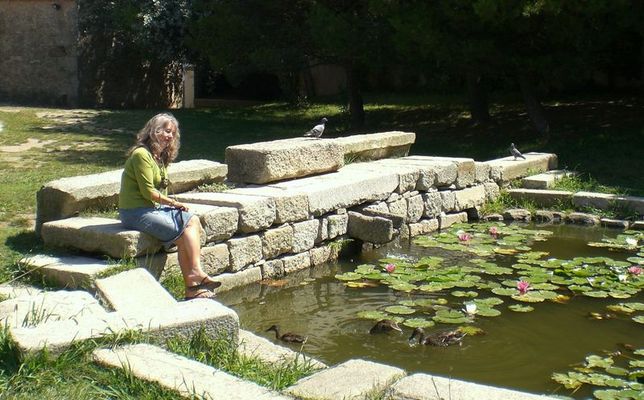 Em Paz à Beira do Lago