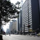 Em Ritmo Frenético Av. Paulista SP