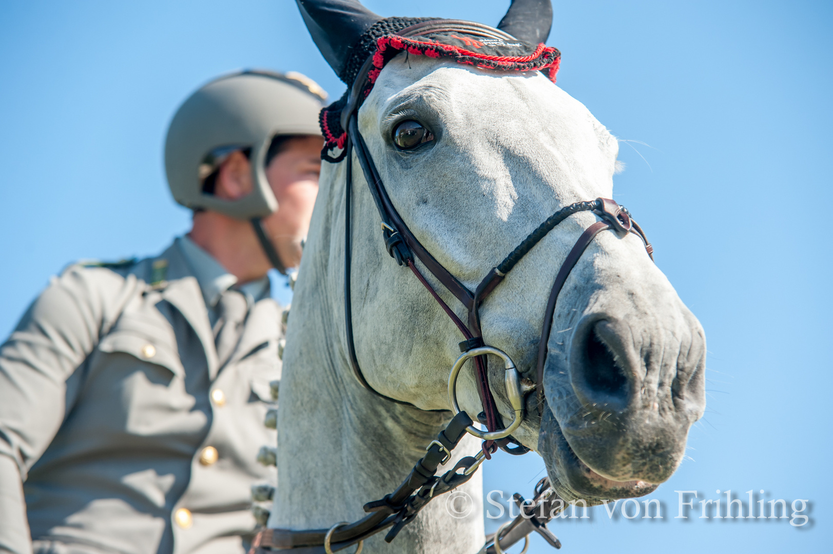 Emanuele Gaudiano 01 Foto & Bild sport, sport mit tieren, pferdesport