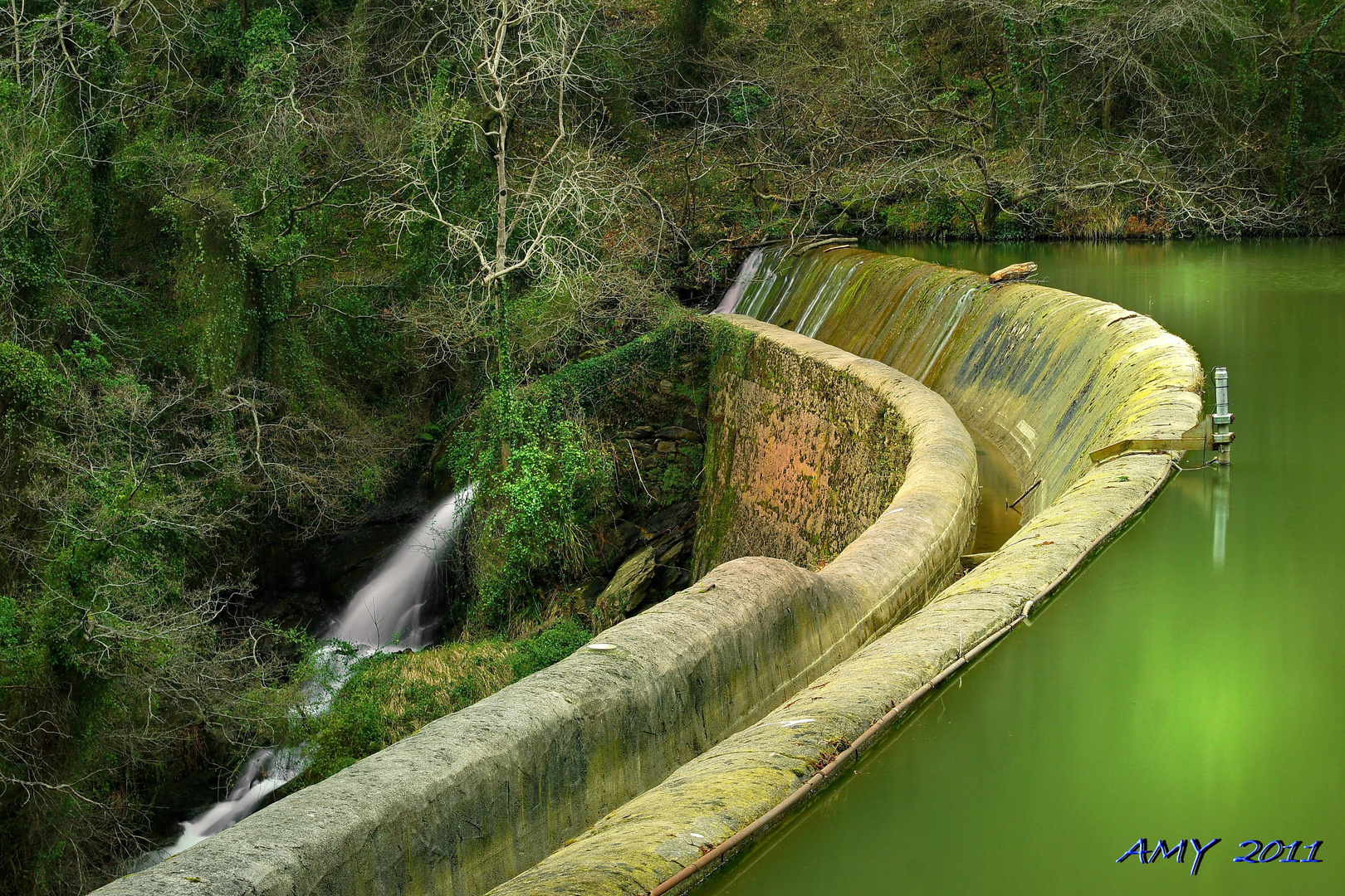 EMBALSE DE ETXEBARRIA . Dedicada a SEGURA CARMONA.