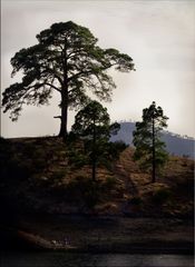 Embalse de las niñas