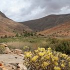 Embalse de las Peñitas