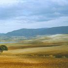 Embalse de los Hurones