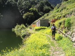 Embalse de los Tilos (3)