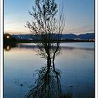 Embalse de Valmayor al anochecer, Madrid.