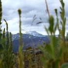 embalse del yeso (Chile)