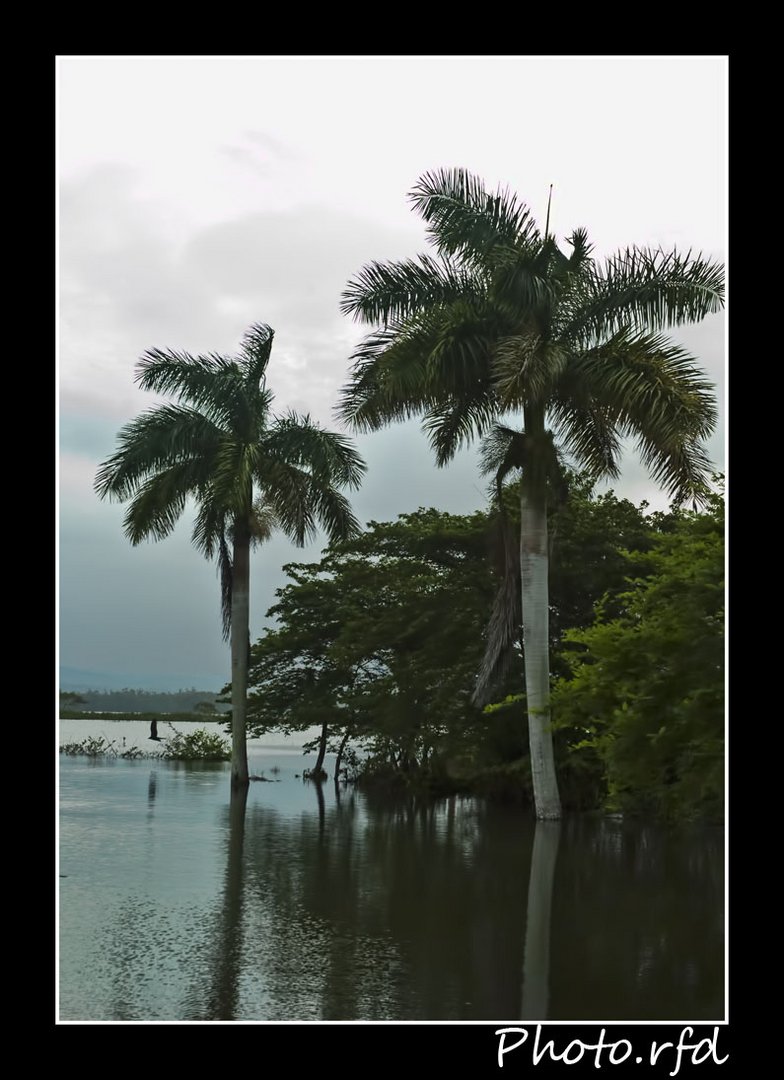 Embalse El Jíbaro