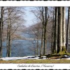 Embalses de Leurtza. (Navarra)