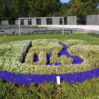 Emblem Schalke 04 auf dem neuen Friedhof