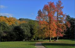 Embrasement au parc thermal.....