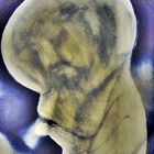 Embryo - life