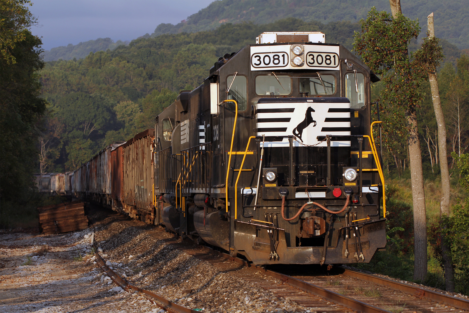 EMD GP40-2 NS#3081 wartet in der Morgensonne auf Weiterfahrt, TN, USA