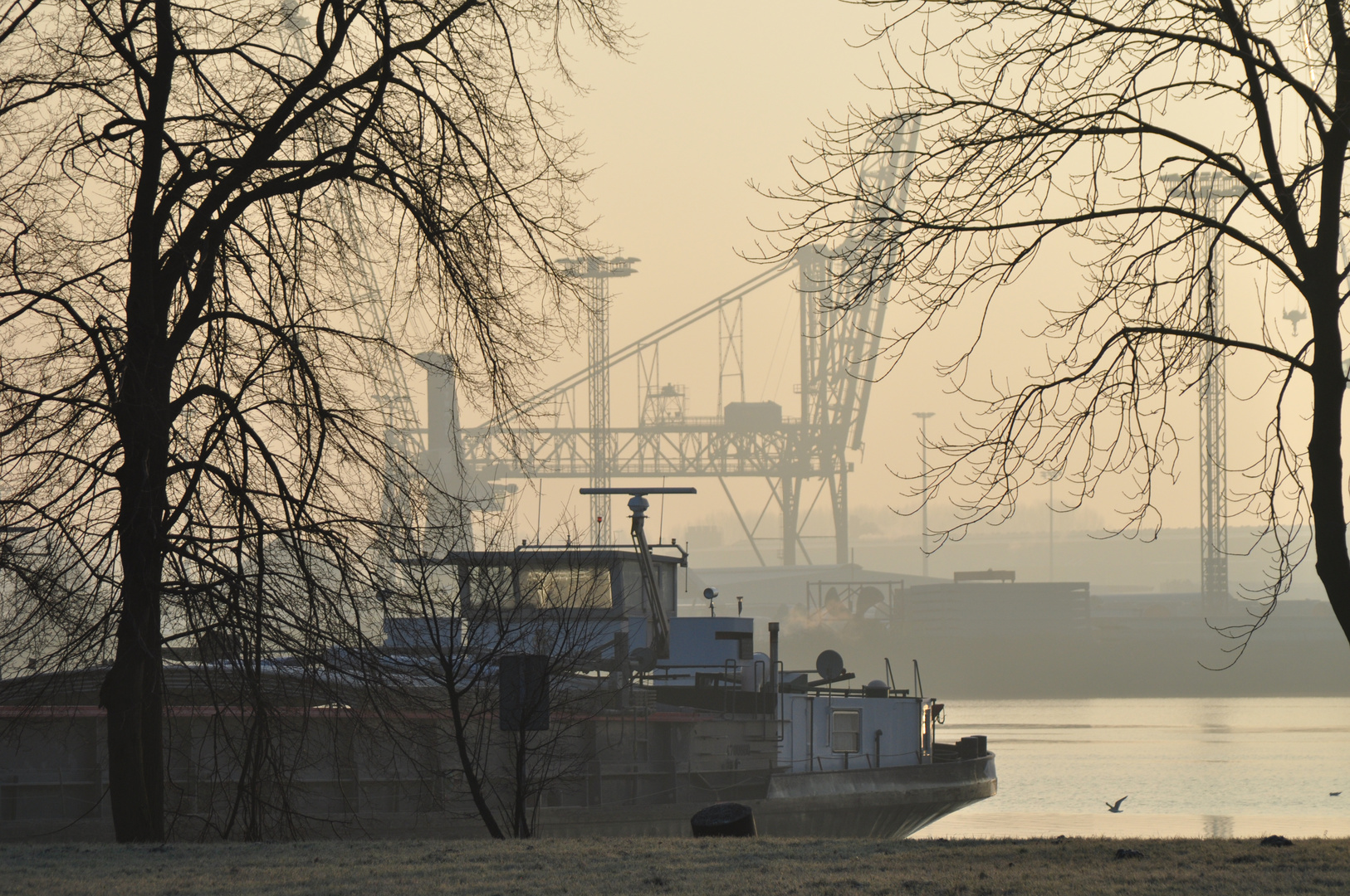 Emder Hafen im Sommer 2011