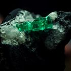 Emerald from Muzo in Columbia