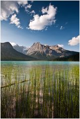 [ Emerald Lake ]