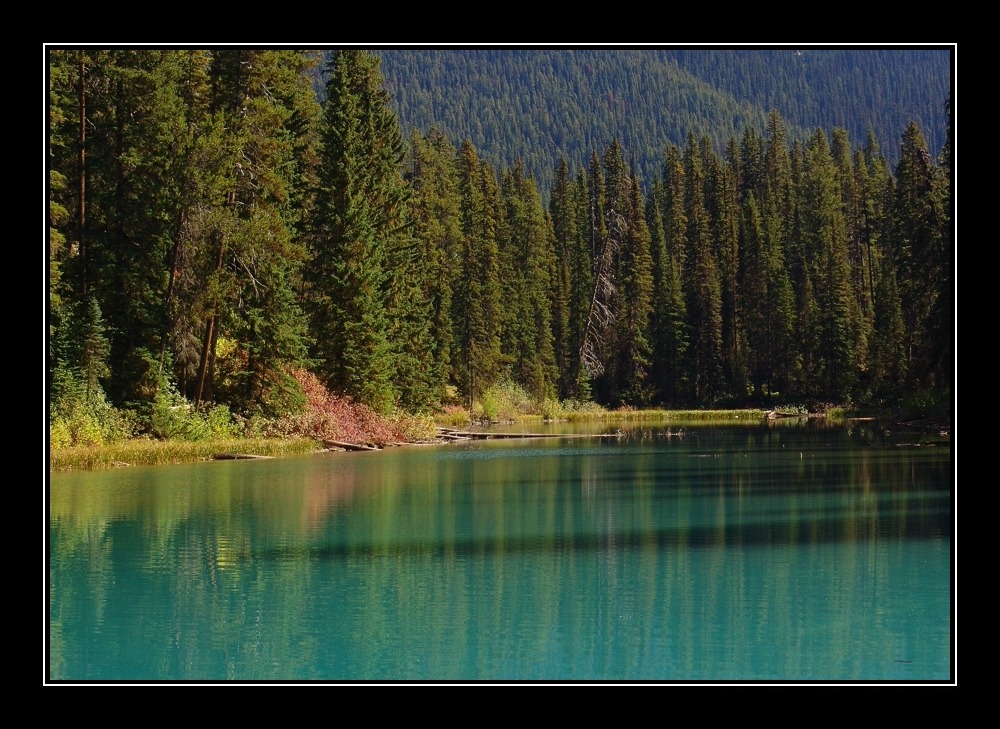 Emerald Lake