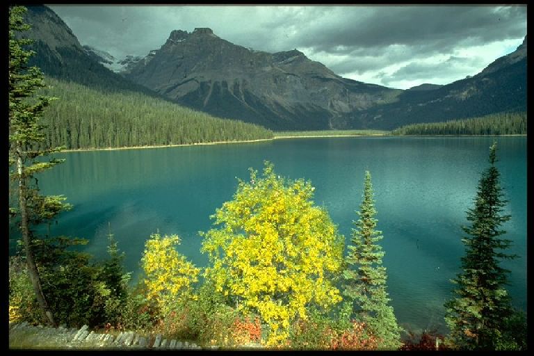 Emerald Lake