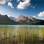 [ Emerald Lake ]