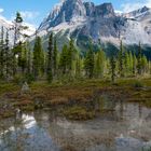 Emerald Lake Canada Rock Mountains