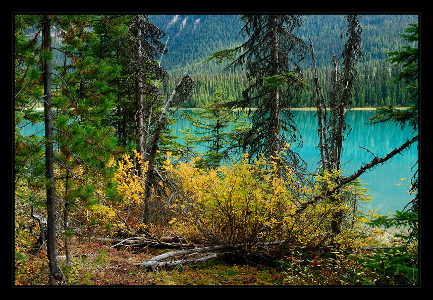 [ Emerald Lake ]