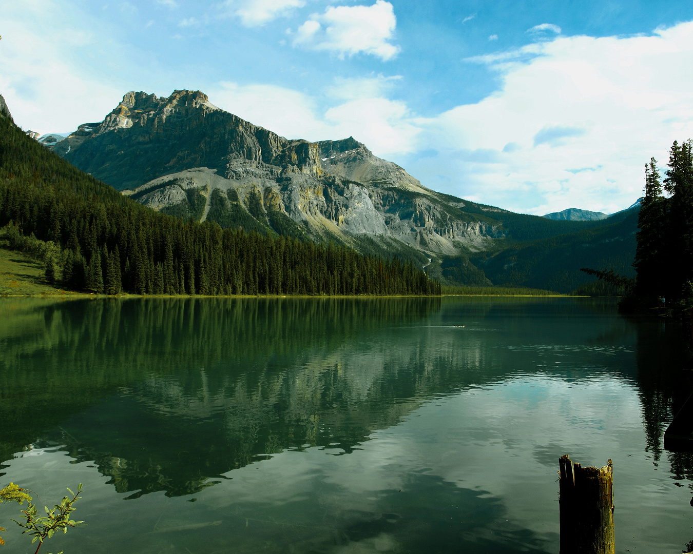 Emerald Lake - Ein grünes Juwel?