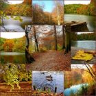 Emerald lake in Autumn