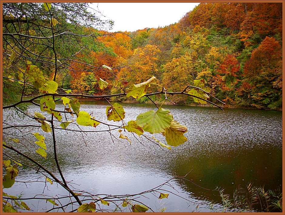 Emerald lake in autumnal forest