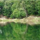 Emerald lake in Stettin