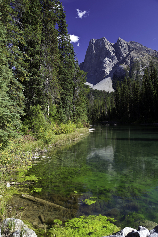 Emerald Lake, Yoho Nationalpark, British Columbia, Kanada