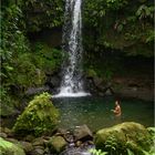 Emerald Pool auf Dominica