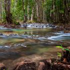 Emerald Pool Hike