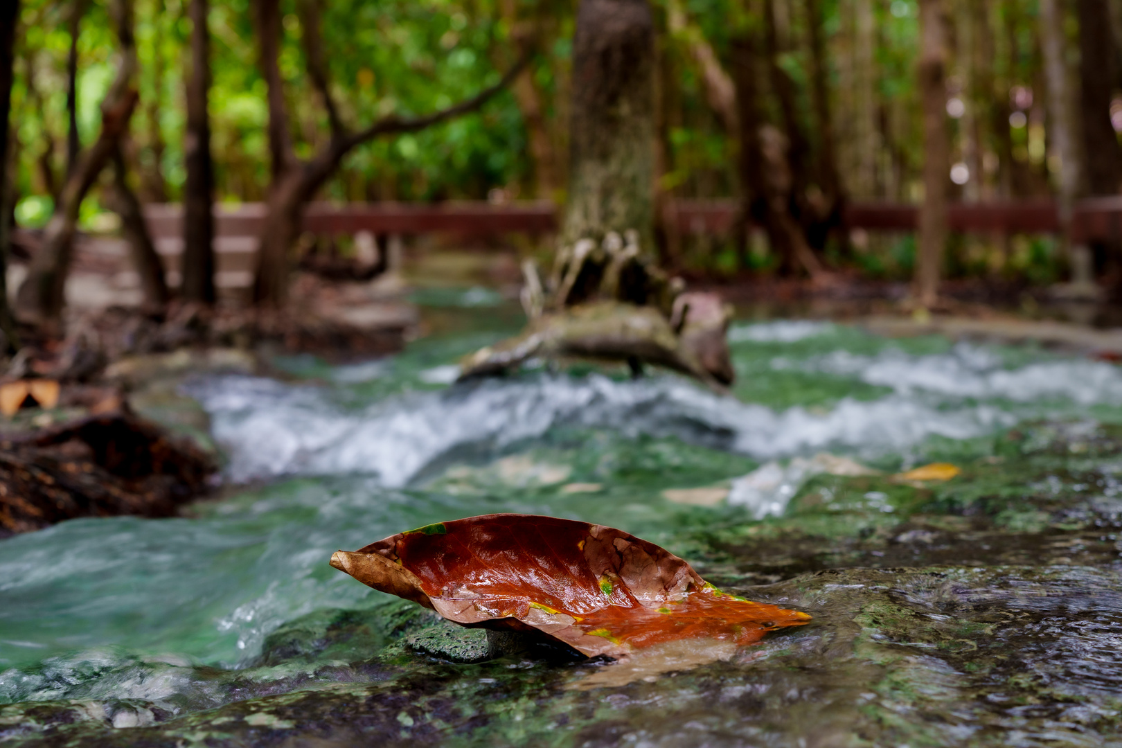 Emerald Pool Hike II