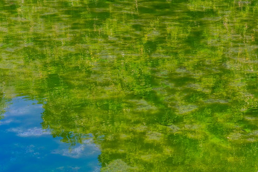 Emerald Pool III - Naturpark Nähe Krabi/Südthailand