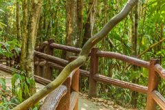 Emerald Pool IV - Naturpark Nähe Krabi/Südthailand