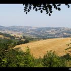 Emiglia Romagna, August 2013