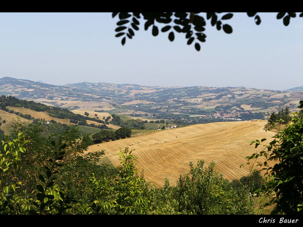 Emiglia Romagna, August 2013