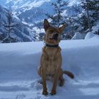 Emil beim Sonnenbad in den Bergen