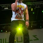 emil bulls @ greenfield2013